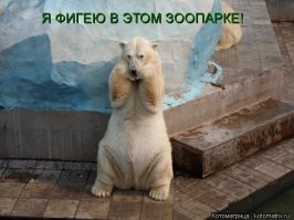 В Дагестане жители разгромили спортивный магазин из-за акции «Всё по 99 рублей»