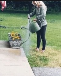 Просто гифки, всякие и&nbsp;разные