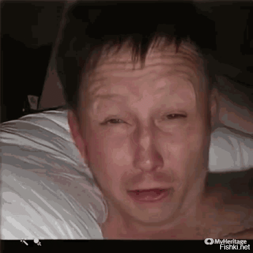 Кот сказал что-то важное