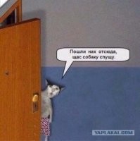 Кот сказал что-то важное
