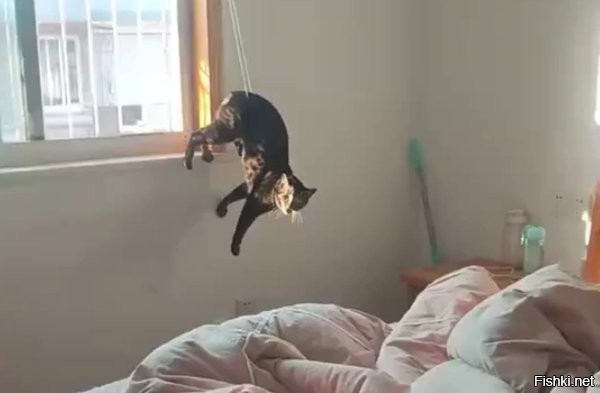 А затем "хозяин помоги!!!":