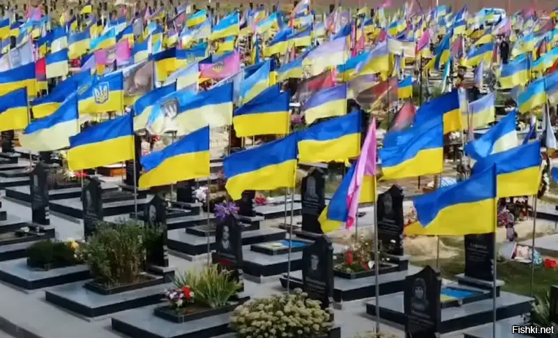 О политике и не только