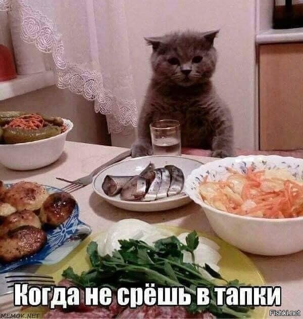 Тарелка улыбатора