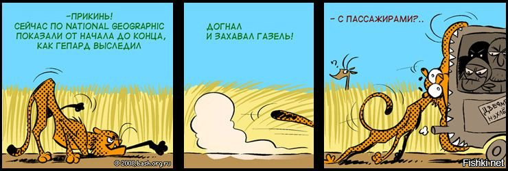 Идиот года