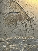 Пермские комары, одноименного периода.