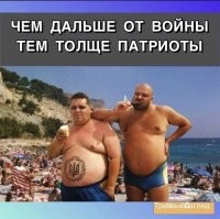 Лишь о политике