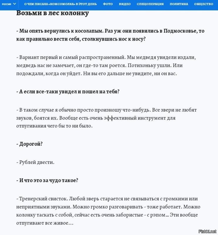Медведь напугал тигра в&nbsp;индийском заповеднике