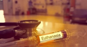 Для синьки за рулем надо ... делать всего один укольчик.  Раз и все.