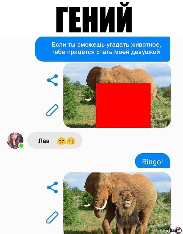 Скрины из соцсетей