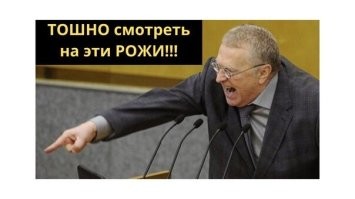 Екатерина Мизулина и Шаман проведут стрим в компьютерной игре Minecraft в честь Дня Победы