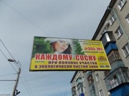 Сколько стоит посадить сосну на Рублёвке
