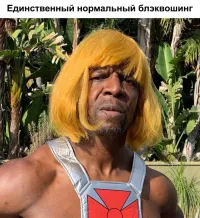 Единственный нормальный Хи-Мен (сарказм)