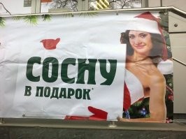 Сколько стоит посадить сосну на Рублёвке