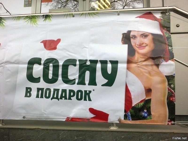 Сколько стоит посадить сосну на Рублёвке