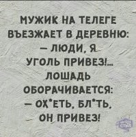 Ленивый конь Том