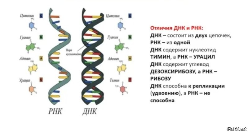 Солянка от 07.05.2025
