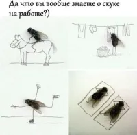 О, я много чего знаю!
В данный момент работаю сисадмином в одной известной организации с красно-белой эмблемой. Кто не представляет, в чём заключается моя работа, поясню: есть небольшая текучка на пару часов, остальное же время - ничего. Сидим и ждём, когда что-то у кого-то сломается. Но нам нельзя пользоваться телефоном, компьютером в личных целях, читать, рисовать, общаться с сотрудниками других отделов... За всё перечисленное штрафы. Видимо, эти кретины считают, что мы должны сидеть, уставившись в точку на стене (полу, потолке, кому как удобнее).  Дык ещё скажут, что спим с открытыми глазами, за сон тоже штраф.