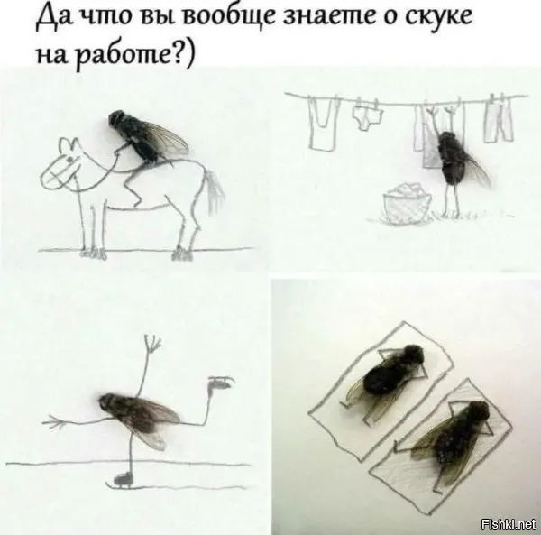 О, я много чего знаю!
В данный момент работаю сисадмином в одной известной организации с красно-белой эмблемой. Кто не представляет, в чём заключается моя работа, поясню: есть небольшая текучка на пару часов, остальное же время - ничего. Сидим и ждём, когда что-то у кого-то сломается. Но нам нельзя пользоваться телефоном, компьютером в личных целях, читать, рисовать, общаться с сотрудниками других отделов... За всё перечисленное штрафы. Видимо, эти кретины считают, что мы должны сидеть, уставившись в точку на стене (полу, потолке, кому как удобнее).  Дык ещё скажут, что спим с открытыми глазами, за сон тоже штраф.