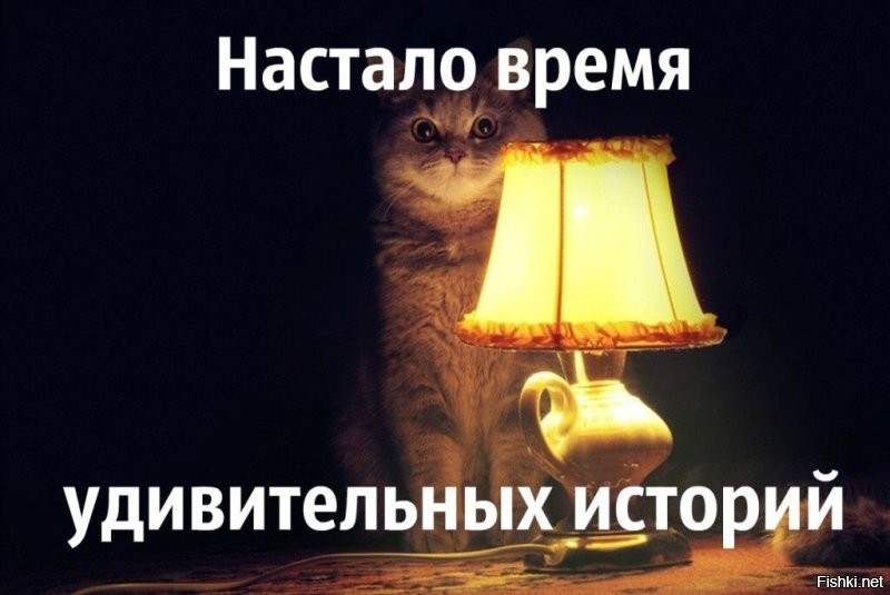 История только одна