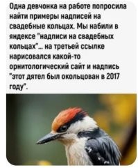 Демотиваторы-приколы в середине недели
