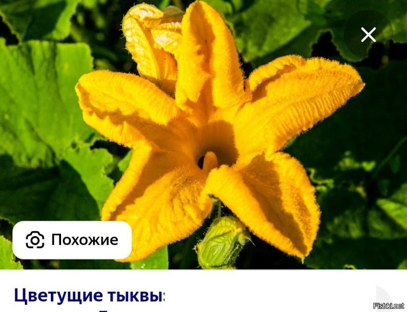 Хм...