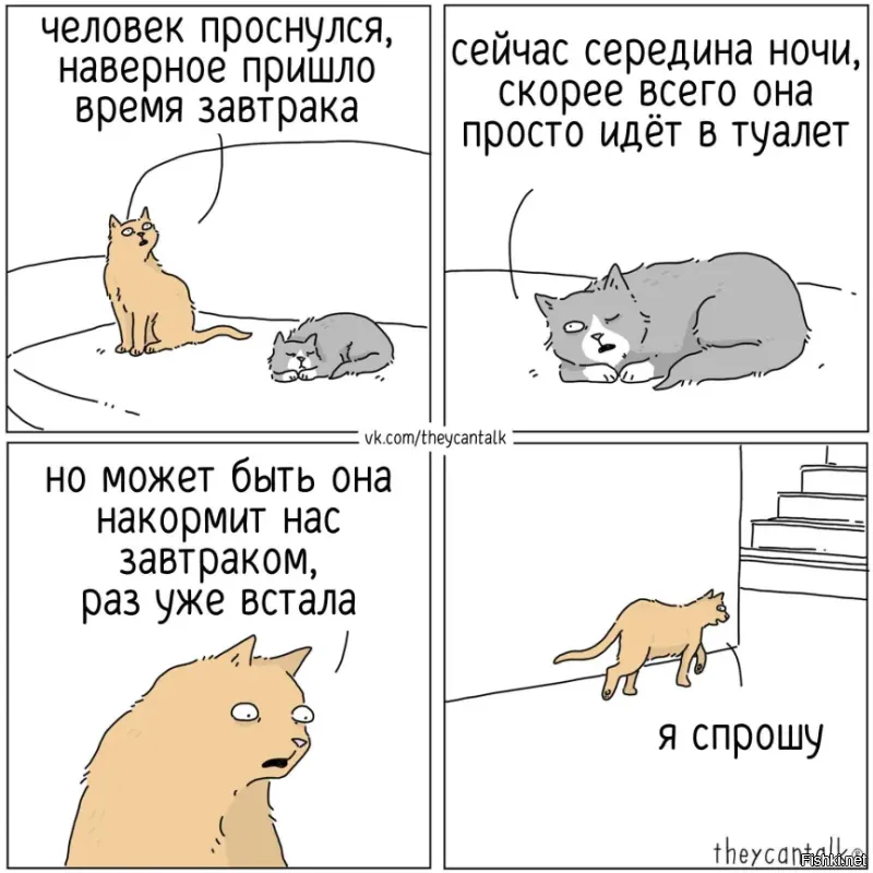 как-будто непонятно, что они постоянно хотят жрать