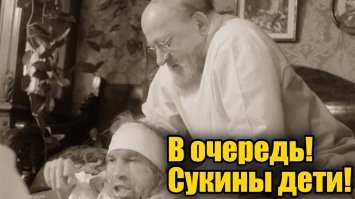 Реакция обезьян на ведро с морковью