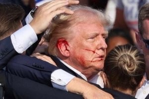 В Китае шимпанзе без причины бросил камень в голову посетителя зоопарка