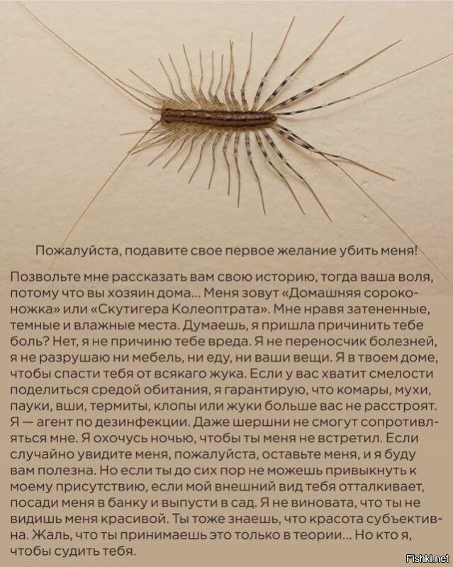 Вот на100ящий помощник дома!