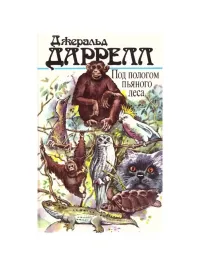 "В одном углу лагеря Дракула, тигровая выпь и чернолицый ибис ссорились из-за куска сала, который не доел Пу. Возле груды немытых мисок рыскали трехпоясные броненосцы, похожие на полчища живых пушечных ядер. Вокруг опустевших клеток, словно часовые, прохаживались кариамы, а Трясохвостка возбужденно бегала взад-вперед, напоминая школьную учительницу, обнаружившую, что весь ее класс прогулял. Попугаи с грустным видом по-прежнему сидели на крышах клеток; только двое из них, очевидно потеряв терпение и не надеясь на то, что я скоро приду, перешли к решительным действиям, проделали дыру в сетке и таким образом проникли внутрь. Теперь они сидели на жердочках, смотрели на нас голодными глазами и издавали своеобразное хриплое ворчание, которым некоторые южноамериканские попугаи выражают свое раздражение. Мы с Джеки сели на ящик, беспомощно глядя на них.
      -- Ну что с ними делать? -- спросила наконец Джеки.
      -- Ума не приложу. Оставить их так нельзя, их перебьют, как только мы уедем отсюда.
      -- Ты пробовал отогнать их подальше?
      -- Я перепробовал все способы, кроме ударов палкой по голове. Они просто не хотят улетать.
      Тем временем Дракула отказался от борьбы за кусок сала, предоставив выпи и ибису улаживать спор между собой, и настойчиво пытался проникнуть в свою клетку через проволочную сетку, сквозь которую не удалось бы проскочить и колибри.
      -- Я бы очень хотел,-- злорадно сказал я,-- чтобы здесь присутствовал сейчас один из этих слюнтяев.
      -- Каких слюнтяев?
      -- Один из этих сентиментальных всезнаек, которые вечно твердят мне, что жестоко запирать бедных диких животных в маленьких деревянных клетках. Хотел бы я показать им, как наши лохматые и пернатые братья при первой же возможности торопятся обрести свободу.
      Одна из кариам подошла ко мне и начала клевать шнурок моего ботинка, очевидно принимая его за огромного червяка. Дракула отказался от попыток забраться в свою клетку и удовольствовался тем, что протиснулся сквозь деревянную решетку в клетку ибиса; теперь он сидел внутри, восторженно бормоча что-то и глядя на нас затуманенными глазами."