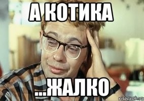 В&nbsp;Китае кот в&nbsp;ресторане упал в&nbsp;кастрюлю с&nbsp;кипящим маслом