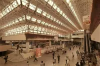 Создаётся впечатление, что часть фотографий от нейросети