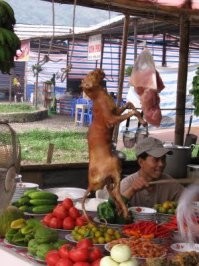 Да ладно уж...