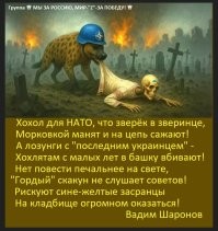 О политике и не только