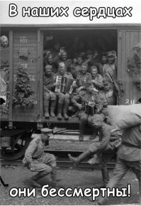 О политике и не только