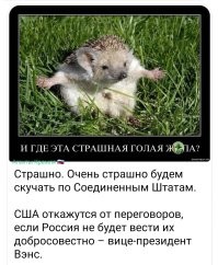 О политике и не только