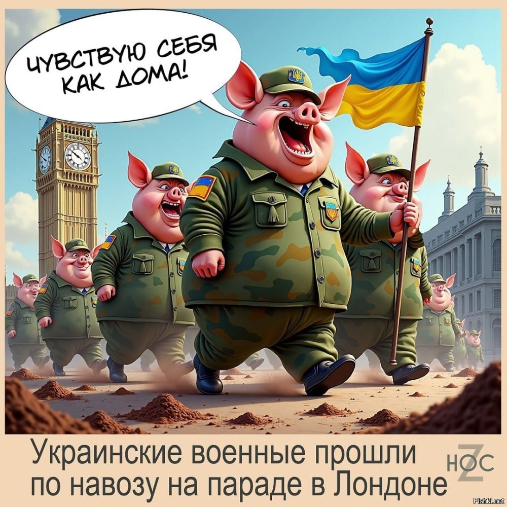 О политике и не только