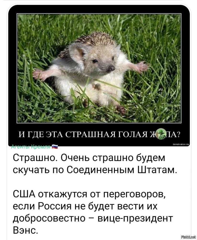 О политике и не только