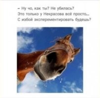 В Австралии прошёл конкурс «Самая сильная женщина»