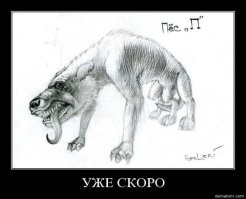 Не ищите здесь смысл. Здесь в основном маразм