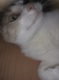 Избегай глупых подписей к хорошим фотографиям