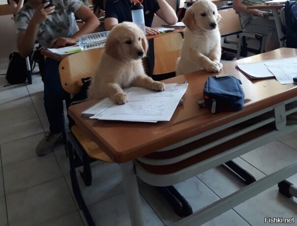 Туда конкурс серьезный и плата почасовая.