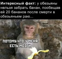 В Афганистане запретили играть в шахматы