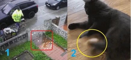 1 - тупая мразь гадит по постам и комментариям.
2 - а вот так надо её с сайта!