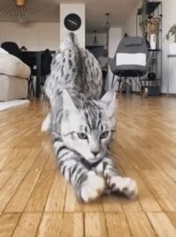 ABS нифига не работает!