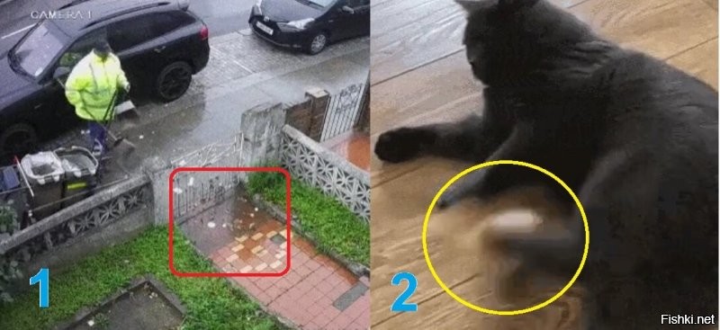 1 - тупая мразь гадит по постам и комментариям.
2 - а вот так надо её с сайта!