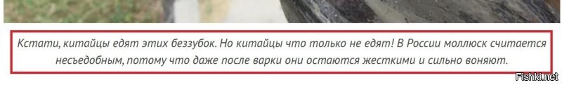 Володя, текст сапсем не читаешь?