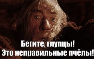 Пчелы изжалили 30 участников религиозной церемонии около храма