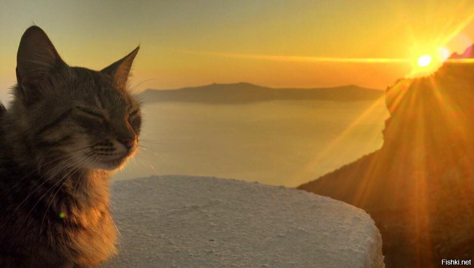 Солянка от 12.05.2025