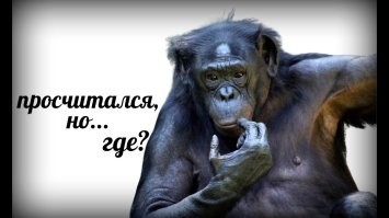 Продавец пересчитал расходы и понял, что торгует в убыток